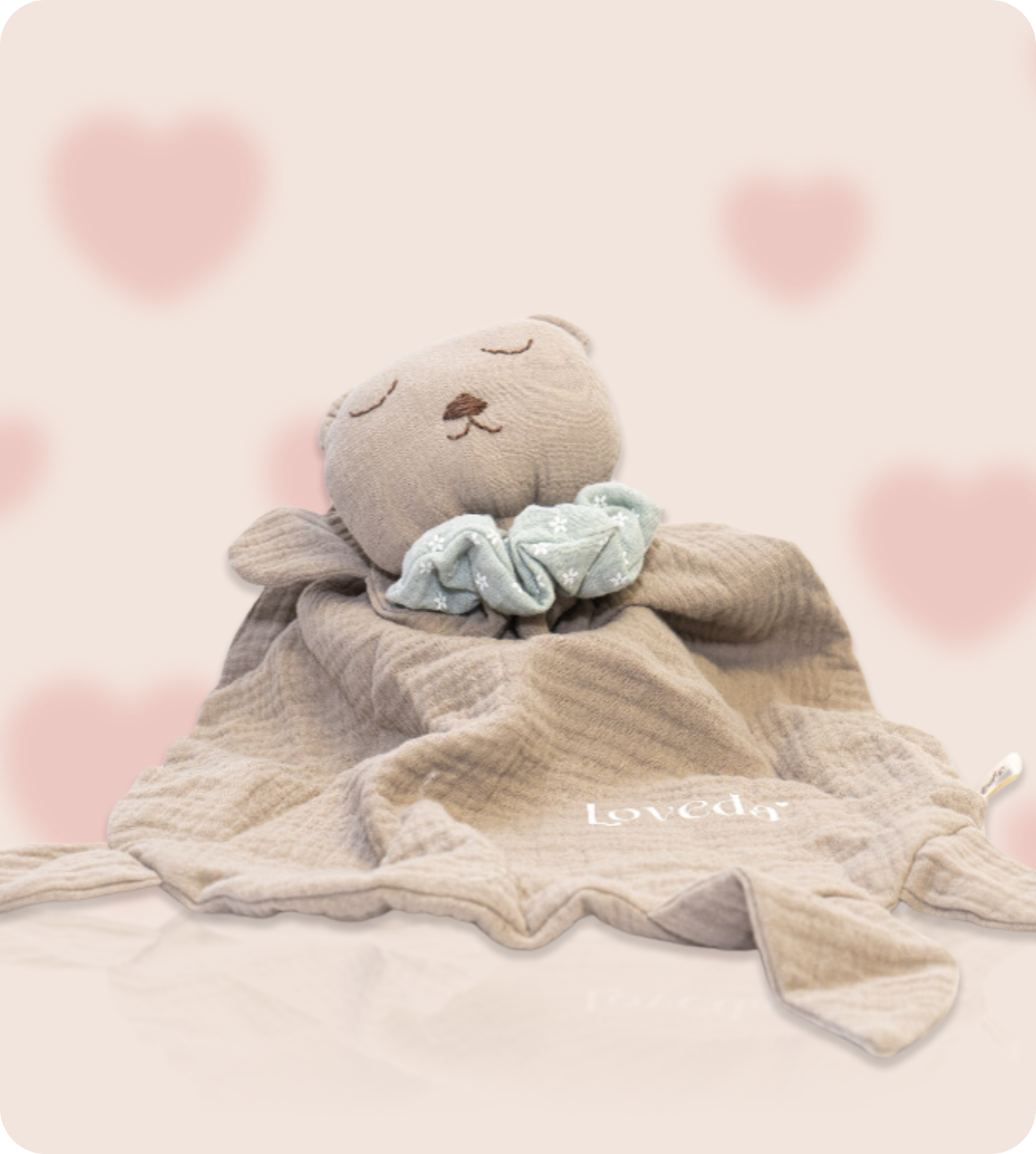 Loveda Mazilica 20% popusta