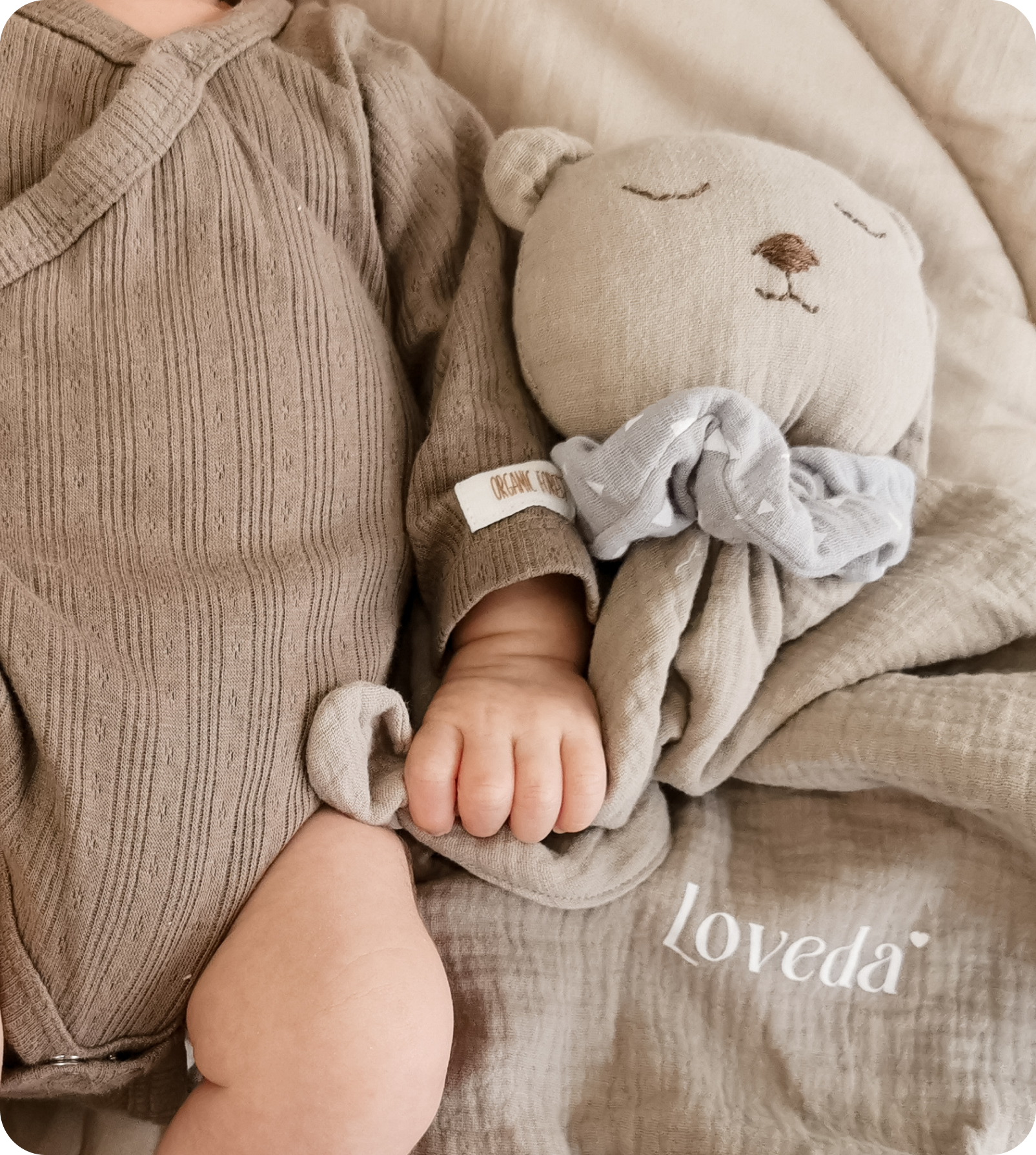 Loveda Mazilica 20% popusta